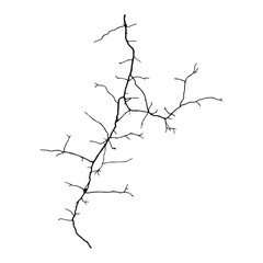 Split lines in the concrete or large fissures in the wall on a white background. Crack wall concrete
