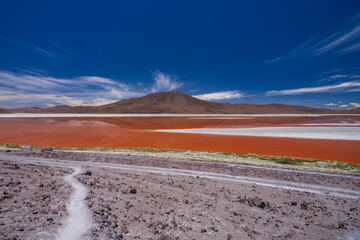 The colorful Colorada lagoon with in the Andes mountain range of Bolivia with Andes grass, James,...