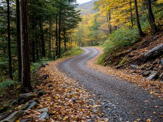 Obraz premium A winding gravel path through a colorful autumn forest, surrounded by trees and fallen leaves, inviting exploration and tranquility.