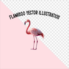 Watercolor Flamingo Vector illustration on White Background. Pink Watercolor Flamingo Vector.