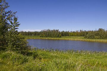 Obraz premium Pylypow Wetlands in the Summer