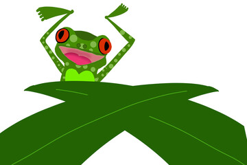 frog on leaf