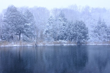 snow covered trees and lake in winter