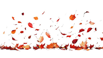 Highquality png of colorful autumn leaves isolated on transparent background vibrant