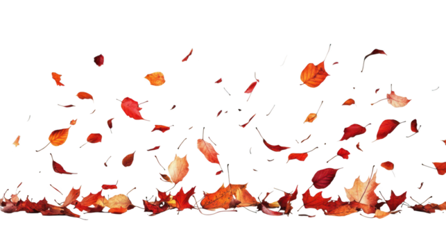 Highquality png of colorful autumn leaves isolated on transparent background vibrant