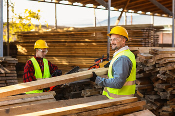 Male carpenters working at sawmill