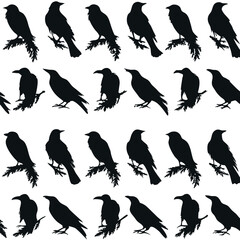 Obraz premium collection consistent sitting bird / raven silhouette black color vector