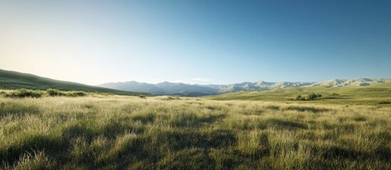 Fototapeta premium Serene sunrise over vast grassland and distant mountain range.