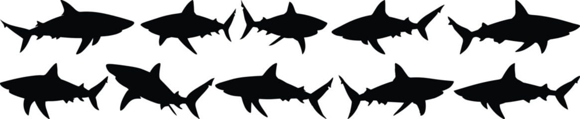 Obraz premium Shark silhouette set vector design big pack of sea illustration and icon