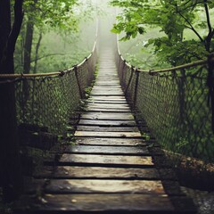 Obraz premium Misty forest rope bridge path.