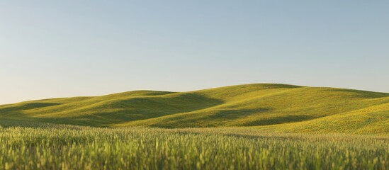 Obraz premium Rolling green hills and wheat field under a clear sky.