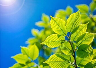 Lush Green Treetop Leaves Against a Vivid Blue Sky - Perfect Background Image
