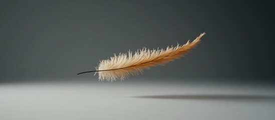 Single light brown feather floating in mid-air against a dark background.