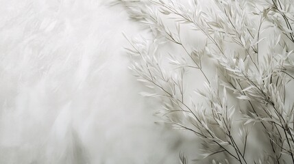 Obraz premium snow covered grass