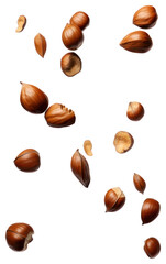 PNG Falling hazelnuts food seed