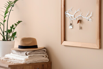 Obraz premium Interior of stylish hall with chest of drawers, houseplant and key holder