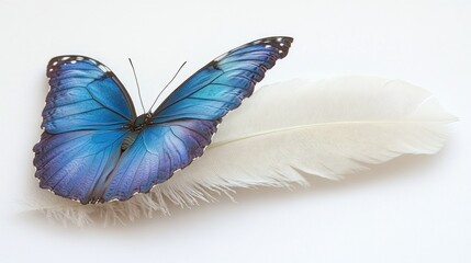 A delicate scene featuring a vibrant blue and purple butterfly perched gracefully on the quill of a pristine white goose feather pen