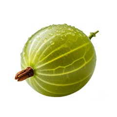gooseberry on white background
