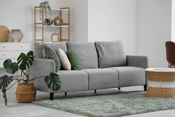 Interior of light living room with grey sofa, coffee table and palm plant