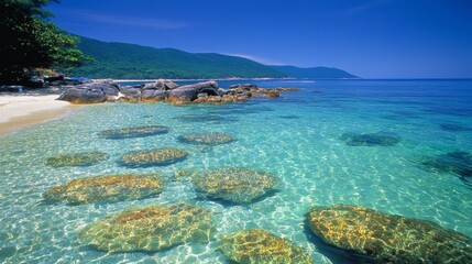 Fototapeta premium Tranquil Tropical Beach Scene with Clear Water and Rocks