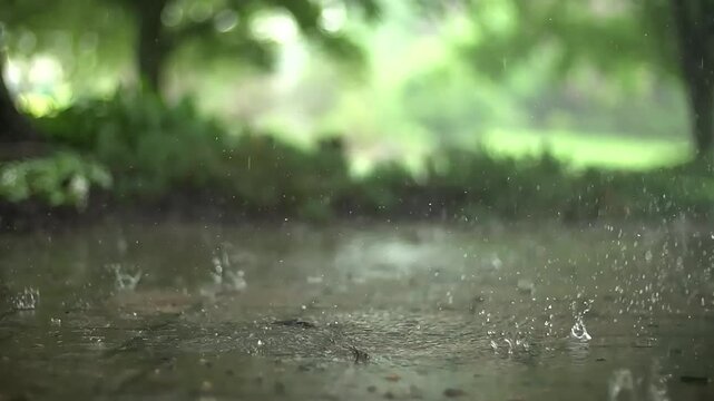 Raindrops with the green background Nature Looking At Camera, 4k Video