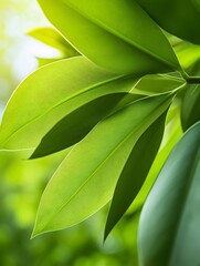 Close-up Photo: Vibrant Green Leaves Gently Illuminated by Sunlight. AI Generated