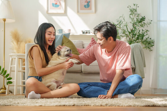 Two young Asian man and woman engage in playful interaction with their happy pug dog in a living room filled with sunlight.