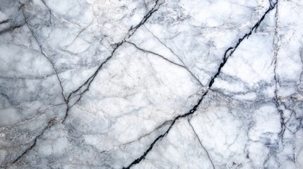 Highlighting the intricate patterns of white marble with bold black veins, perfect for upscale home decor and architectural elements