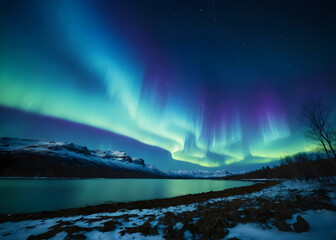 Naklejka premium Aurora Borealis Multicolored green vibrant , Aurora Polaris Night starry sky and Northern lights. Green aurora borealis Lights in the night sky over Norway