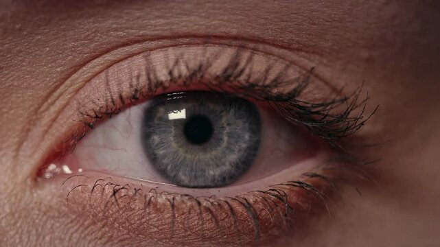 stunning macro close-up of a blue eye showcasing intricate iris details, the pupil, and fine eyelashes. Captures the essence of human beauty and vision.
