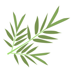 Tropical Leaves Illustration. Flat Cartoon Design of Plant and Flower. Isolated Vector