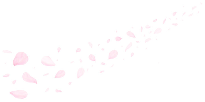 春の満開の桜の花びらが風に舞うイラスト　PNG透過素材