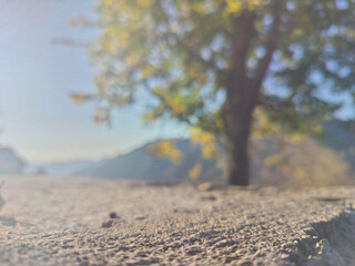  concrete podium in Natural autumn tree blurry background for Empty show for packaging product presentation. Background for cosmetic products, landscape background