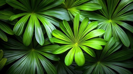 Lush green tropical foliage, vibrant leaves texture background.