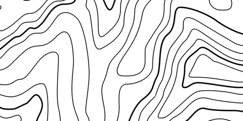 Abstract Contour Topographic Line Pattern in Black and White