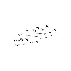 flock of birds png background image, Artistic Black Bird Flight on a Transparent Background