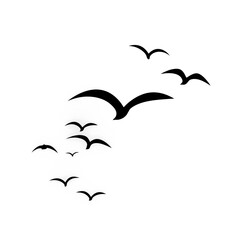 Naklejka premium Minimalist Transparent Background with Birds in Flight, birds png background image