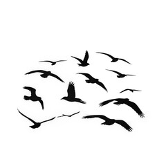 birds in flight, Flying Black Birds Silhouette with Transparent Background, png background image