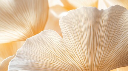 A close-up of a delicate ginkgo leaf, showcasing its fan-shaped pattern and elegant simplicity