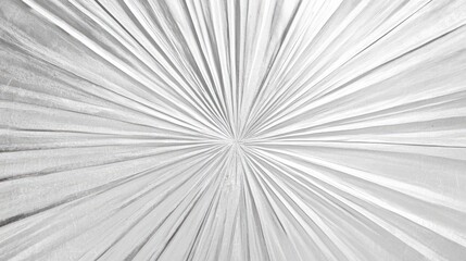 A close-up of a palm leaf with symmetrical lines radiating outward, creating a fresh and natural appeal