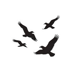 Obraz premium silhouettes of birds, Four Black Bird Silhouettes in Flight on Transparent Background