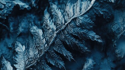 A detailed macro shot of a frost-covered fern, showcasing its intricate textures and natural elegance