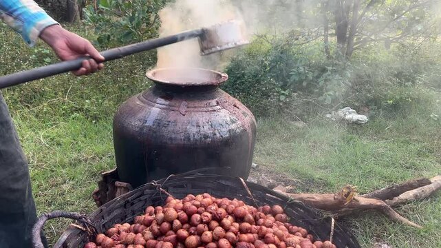 Close up of cooked areca nuts being placed in bamboo basket to drain. Handheld
