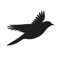 Fototapeta premium Minimalist Black Bird in Motion on Clear Background