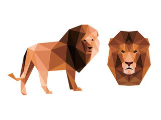 Lion face in Polygonal low poly vector. Illustration of Lion polygon. Lion illustration for kids animal book 