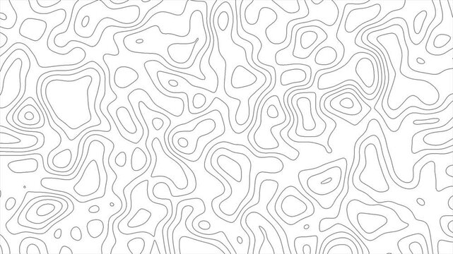 Seamless loop fractal lines background. Topographic map like abstract backdrop