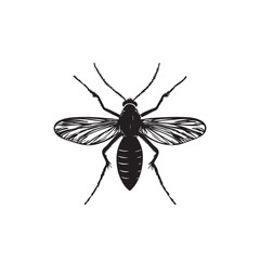 illustration of a insect