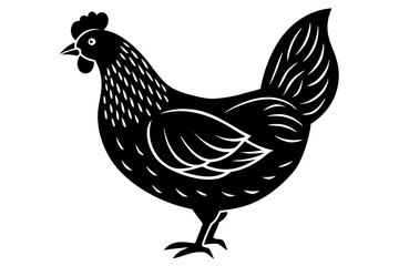 Detailed Hen Vector Illustration