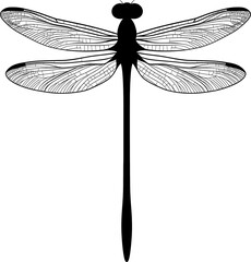 dragon-fly silhouette