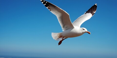 Obraz premium Dove Soaring with Wings Open in Blue Sky,Majestic white dove soaring gracefully against a clear blue sky. Generative AI 9984